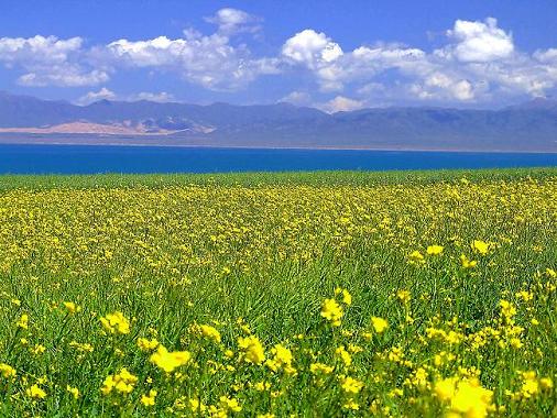 旖旎風光 大美青海