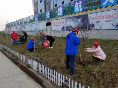 揮灑汗水建設一方熱土 傾心盡力打造綠色澄合