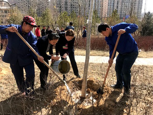義務植樹展風采  我與神南共成長