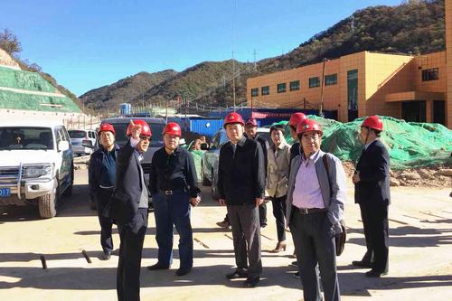 寧興剛、王寧一行深入冶坪項目調研指導工作