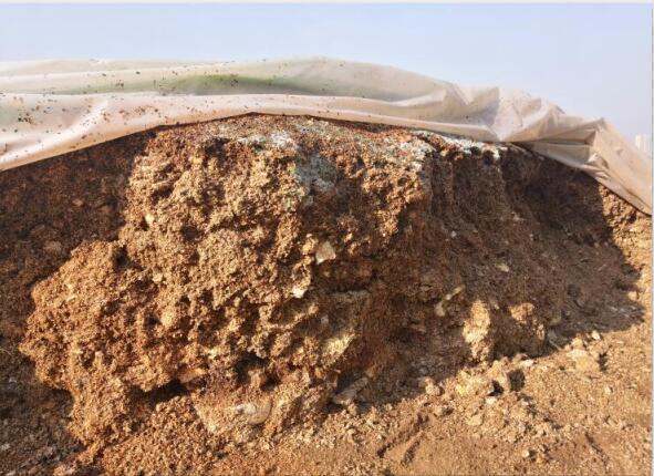 “廢料”變“肥料”，蘑菇包在土壤改良中的應用