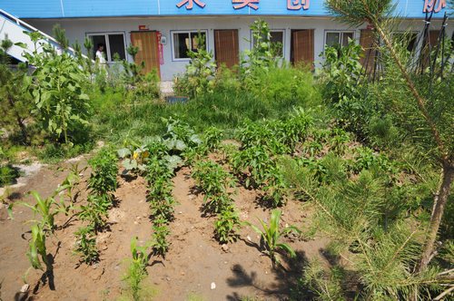 陜煤建設掘進公司:北翼項目部走出一條綠色發展路