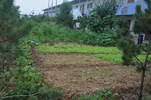 陜煤建設掘進公司：北翼項目部“綠色農場”開張啦