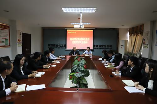 陜煤建設洗選煤運營公司認真傳達集團2018年度中層干部述職考評大會精神