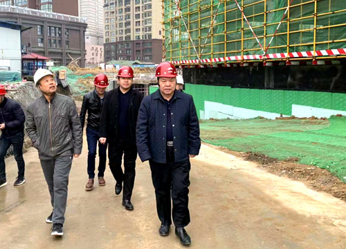 寧興剛深入大秦置業(yè)公司龍灣水境項目檢查指導(dǎo)工作