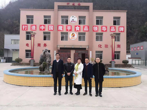 陜煤建設川耀公司赴鎮安考察