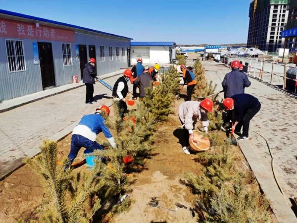 陜煤建設澄合分公司第十二項目部復工復產間隙植樹忙