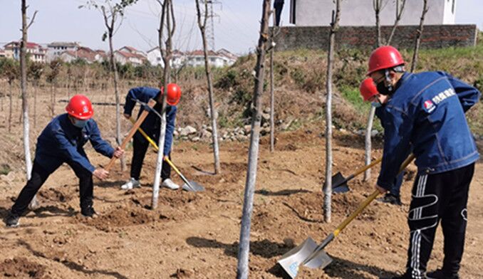 今天你植樹了嗎?