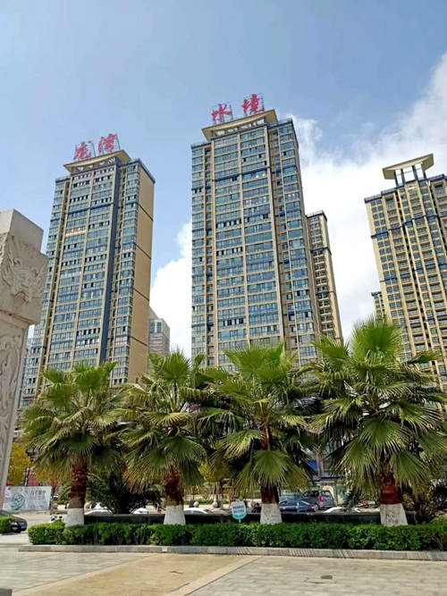 陜煤建設公司：勇創新善作為 逆勢營銷顯真功