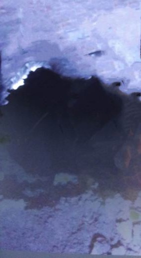 陜煤建設礦建二公司冶坪項目部一采區水倉順利貫通