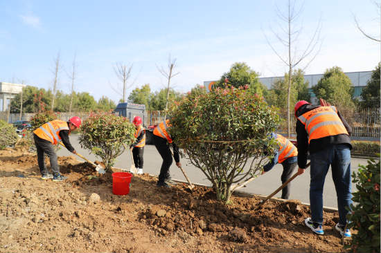 陜煤建設各公司開展義務植樹活動