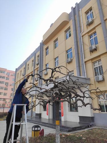 陜煤建設銅煤公司做好辦公區(qū)域的綠化創(chuàng)和諧溫馨企業(yè)環(huán)境