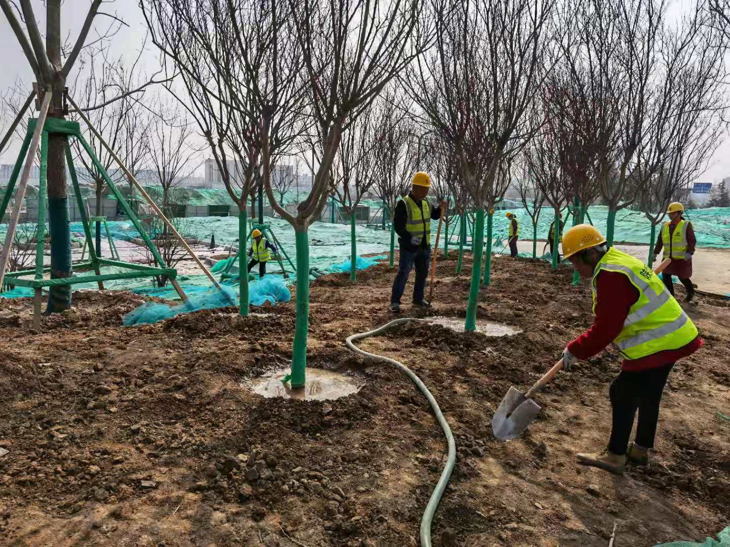 陜煤建設綠宇公司:為大地添綠正當時