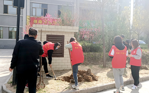 陜煤建設(shè)公司:開展綠化補種 打造美好家園