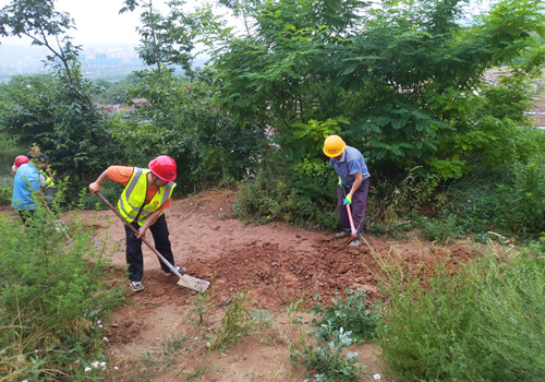 青年突擊勇擔當，助民防洪顯形象