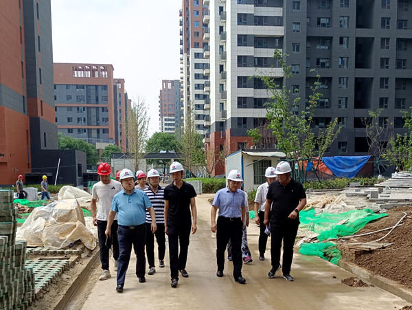 王明智一行深入藍山水岸項目檢查指導工作