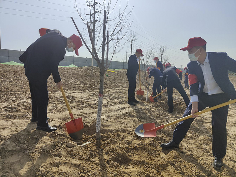 陜煤建設榆林公司開展義務植樹活動