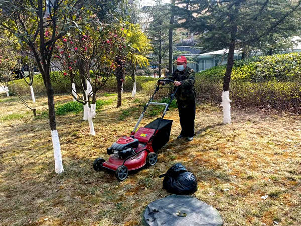 建設(shè)集團大秦置業(yè)公司:修剪養(yǎng)護植被為小區(qū)添“新裝”