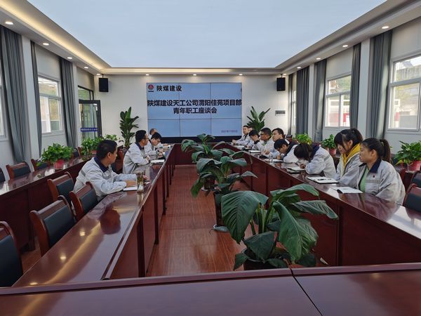 陜煤建設天工公司渭陽佳苑項目“復工復產+青年員工座談”顯芳華
