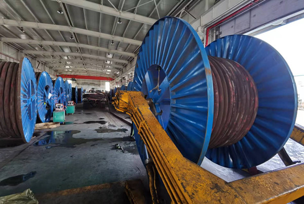 陜煤建設機電安裝公司圓滿完成電氣設備春季預防性試驗