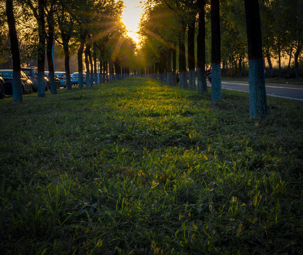 行走在雙城之間