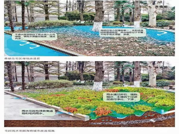 陜煤建設設計研究院：銅川市王益區虎頭小區老舊小區改造海綿城市建設設計圓滿完成