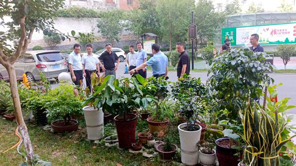 陜煤建設大秦置業公司：龍灣水境創文工作迎“大考”