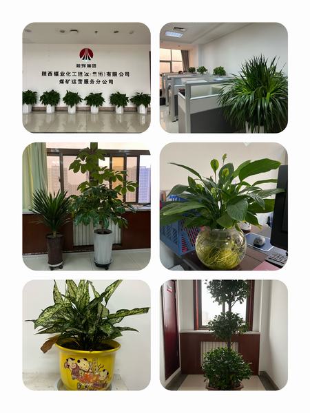 陜煤建設煤礦運營服務公司：職工之事無小事