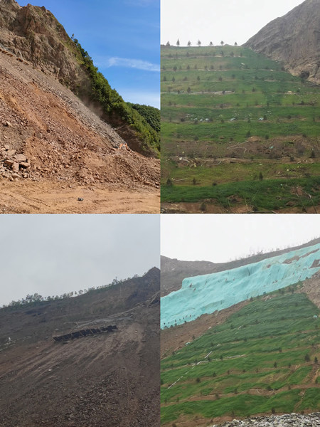 渣山變綠林,碎石堆場批“綠裝”