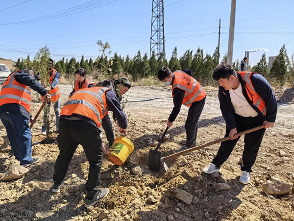 陜煤建設漢中分公司:不負春光 “植”此新綠