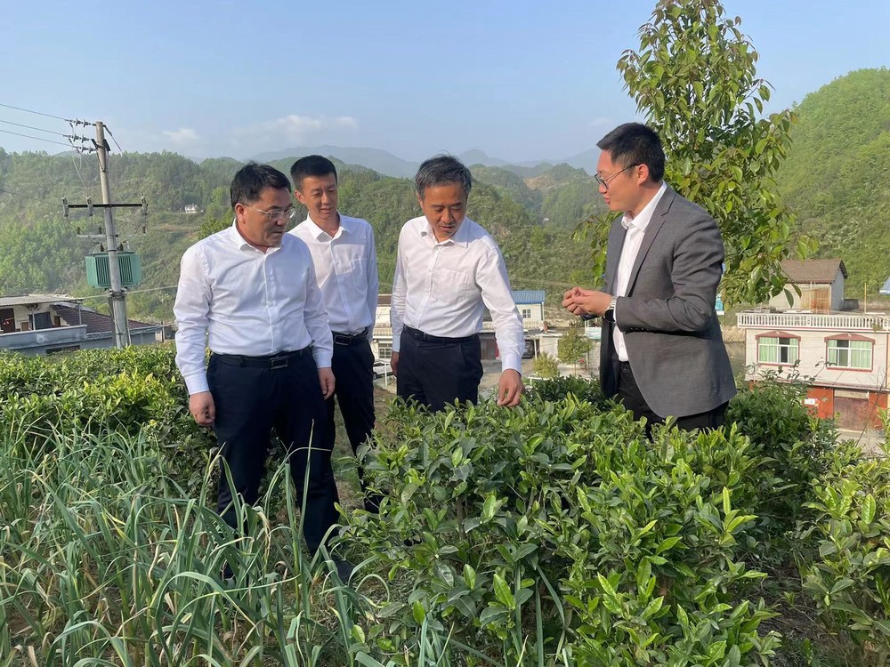 王明智深入陜煤建設定點幫扶村調研扶貧工作