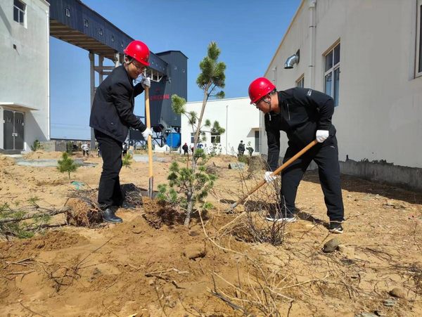 陜煤建設路橋分公司榆陽煤炭物流園區項目部春風化雨植樹忙
