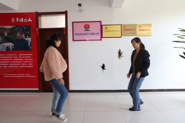 陜煤建設機電安裝公司開展“迎五一 慶五四”趣味文體活動