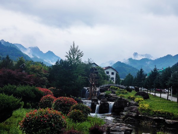 在木王山，遇見21℃的夏天