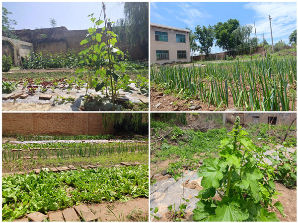 陜煤建設礦建三公司:項目部里的“開心農場”