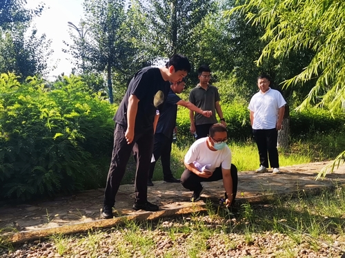 陜煤建設(shè)榆林公司承建的科創(chuàng)新城同慧運動公園項目綠化工程通過年度驗收