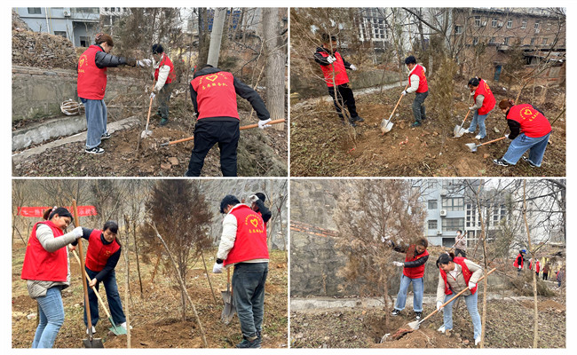 陜煤建設機電安裝公司：走，上春山，植樹去！