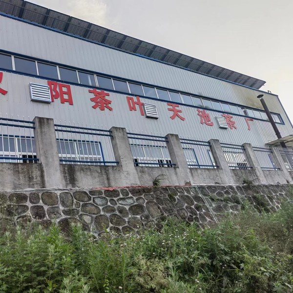 實(shí)事一件接著一件，跑出鄉(xiāng)村振興“加速度”