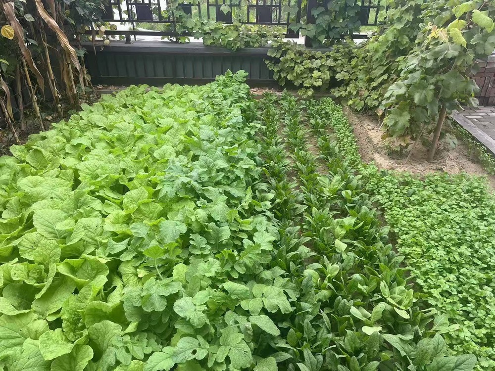 工地之上，家的溫度悄然綻放