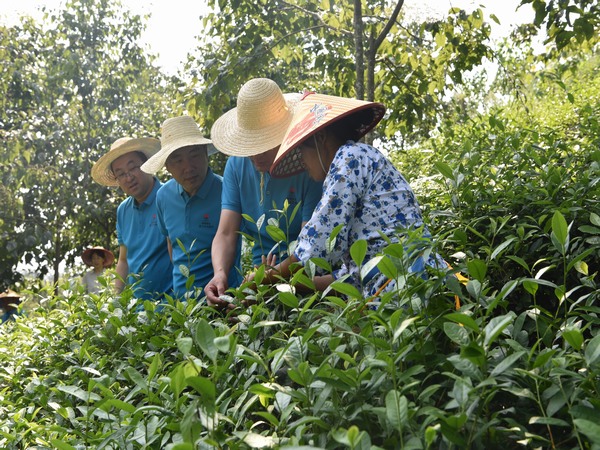 陜煤建設(shè)煤礦運(yùn)營(yíng)服務(wù)分公司:全方位提升職工幸福指數(shù)