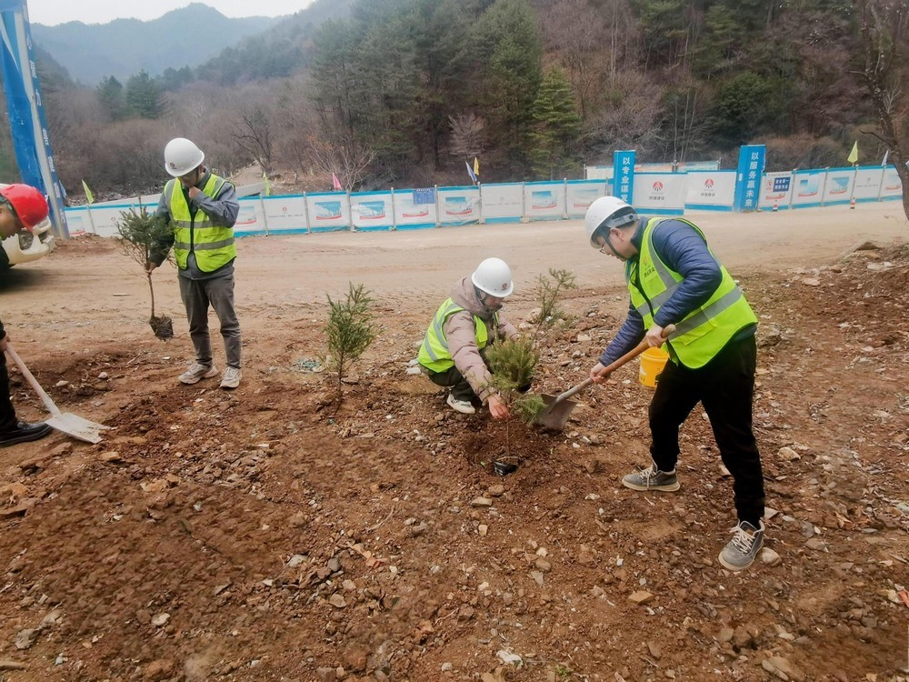 “植”此青綠，陜煤建設路橋分公司春風十里添新林