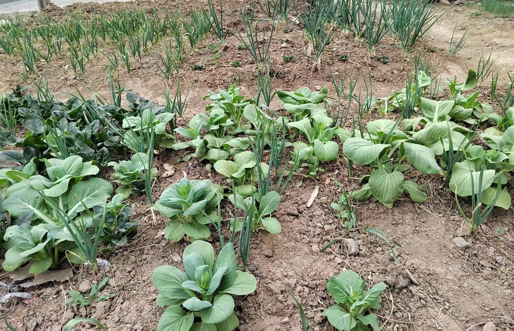 陜煤建設澄合分公司:情系職工辦實事 點滴關懷暖人心