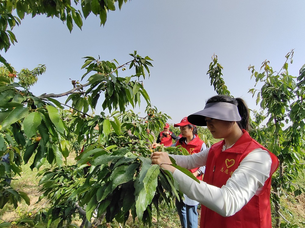 陜煤建設澄合分公司：助力農耕踐初心 防災宣傳擔使命