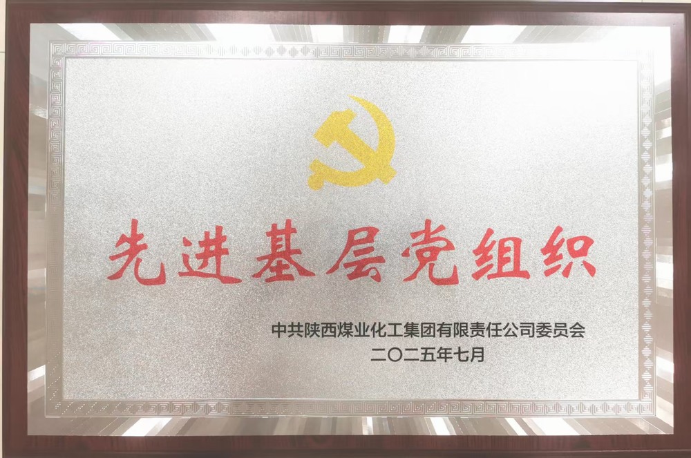 陜煤建設銅煤公司黨委“黨建+”賦能高質量發展獲殊榮