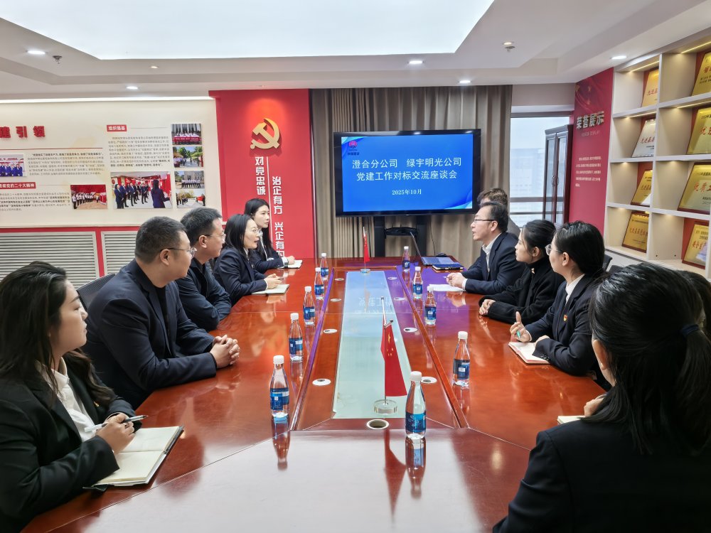 黨建互鑒強堡壘 協同賦能譜新篇