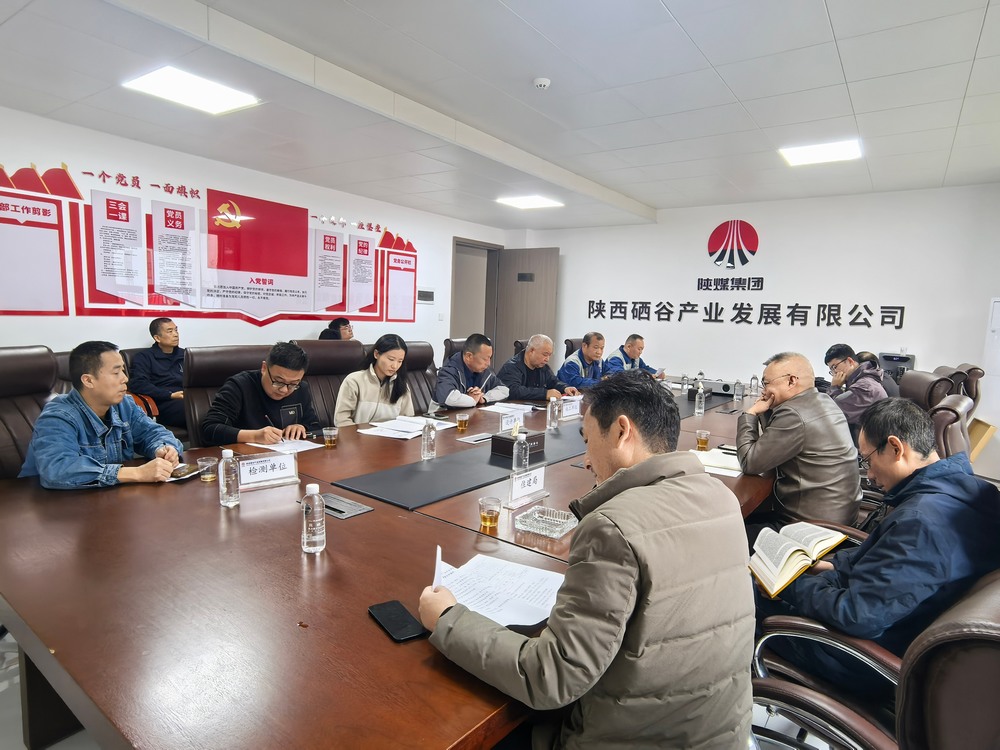 陜煤建設(shè)設(shè)計研究院:陜西硒谷產(chǎn)業(yè)集團漢濱水廠設(shè)施提升項目消防驗收圓滿成功