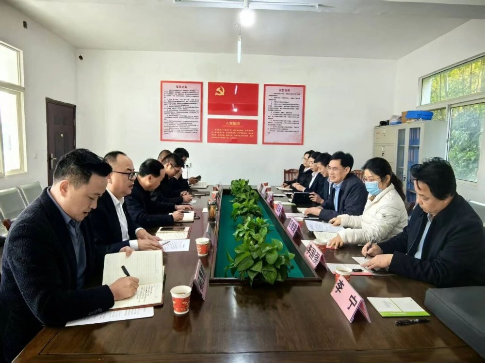 司正林深入定點幫扶村調研督導鄉村振興工作