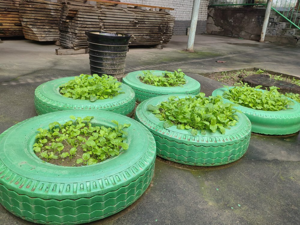 創(chuàng)意無(wú)休，廢舊輪胎也能C位出道