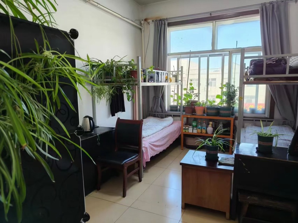 陜煤建設洗選煤運營公司檸條塔運營項目部黨支部：黨建領航強根基 廉潔鑄魂促發展