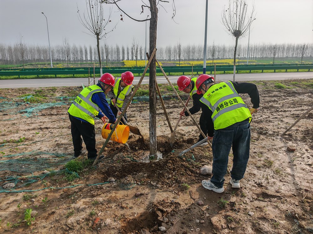 陜煤建設路橋分公司荊州項目部開展植樹活動